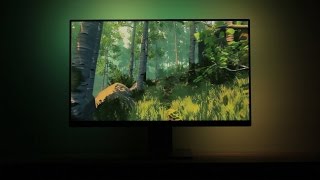 Ambilight Video Game Demo  Recording [upl. by Des]