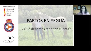 Partos en yegua ¿Qué debemos tener en cuenta [upl. by Nadabas]