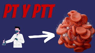 Tiempos de Coagulación  PT y PTT Explicados Claramente [upl. by Akoyin782]