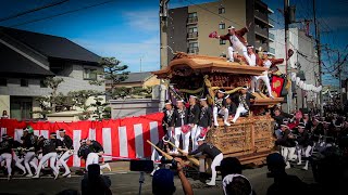 令和6年度 鳳だんじり祭 ココカラファイン前 やりまわし [upl. by Ijar]