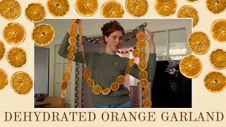 DEHYDRATED ORANGE CHRISTMAS GARLAND  Making Homemade Christmas Decorations 🍊🎄🧡🍁 [upl. by Haet]