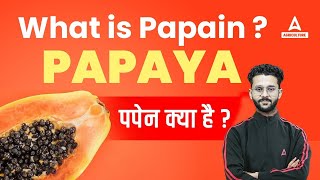 What is Papain पपैन क्या है Papain Extraction from Papaya  Papain Uses Papain Enzyme Agriculture [upl. by Brill252]