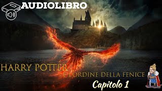 Audiolibro  Harry Potter e lordine della fenice  Lettura e Commento LIVE Cap 1 [upl. by Nahrut]