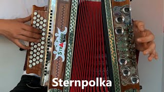 Sternpolka  Steirische Harmonika [upl. by Addam]