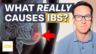 Conquer IBS 3 steps to healthier digestion [upl. by Olimpia234]