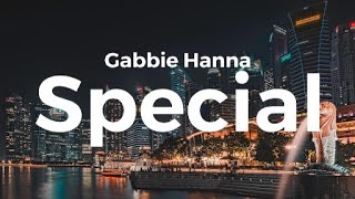 Gabbie Hanna Special Lyrics [upl. by Woodward801]