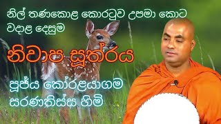 නිවාප සූත්‍රය  ජූජ්‍ය කෝරලයාගම සරණතිස්ස හිමි Koralayagama Saranathissa Himi budubana dharma [upl. by Ttirrem240]