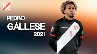 Pedro Gallese  Mejores Atajadas  Selección Peruana  El Pulpo  2021  MPHD™ [upl. by Anirrehs]