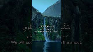 Surah AlQalam verse 1417 with Urdu amp English Translation  qariubaidurrahmanzia [upl. by Kieger]