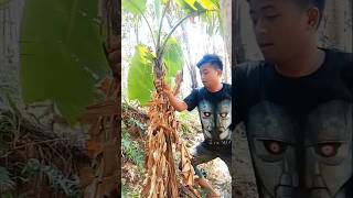 Wow Thats A BRILLIANT ideacamping survival bushcraft outdoors [upl. by Hameean]