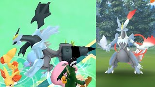 OMG 🤯 White Kyurem amp Black Kyurem in pokemon go [upl. by Gerianna]