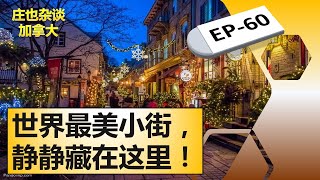 魁北克城墙和小尚普兰街，里面当然全是故事【庄也杂谈加拿大60】 [upl. by Merrell]