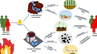 bacteria Vs viruses  good germs Vs bad germs vires  myapproaches [upl. by Ahtelra]