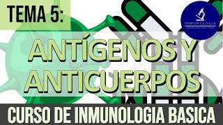 Antígenos y Anticuerpos Inmunoglobulinas Inmunógenos Haptenos Determinantes o Epítopos [upl. by Gretchen]