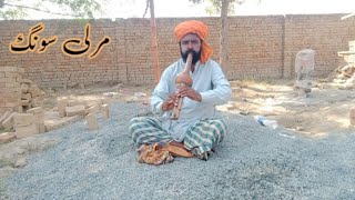 Jogi murali song bin music 🎵Ramta Jogi [upl. by Oterol]