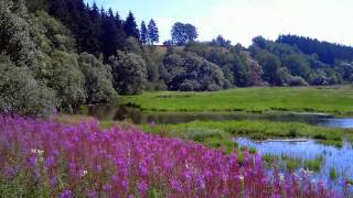 De Belgische Ardennen [upl. by Irah]