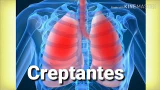 Ausculta Pulmonar  Sons Creptantes  sons pulmonares [upl. by Ziagos]