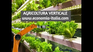 INVESTIRE IN AGRICOLTURA MODERNA VERTICALE IDROPONICA QUANTO COSTA [upl. by Anitneuq]