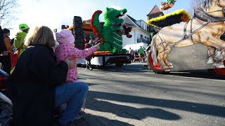 Dammer Carneval 2019 So bunt und fröhlich war der Sonntag [upl. by Laicram]