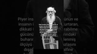 Savaş ve Barış Tolstoy  Dikkati Başka Yöne Kaydırabilme Gücü  edebiyat kitap felsefisözler [upl. by Siegler]