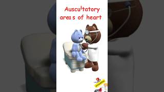 Heart auscultation auscultatory areas of heart [upl. by Wenonah]