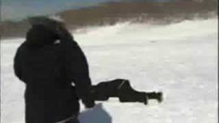 News Reporter Gets Hit By Sled [upl. by Marder]