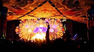 TRISTAN  THE MOST CRAZY DANCE FLOOR AT HILLTOP FESTIVAL 2019 GOA [upl. by Rissa]