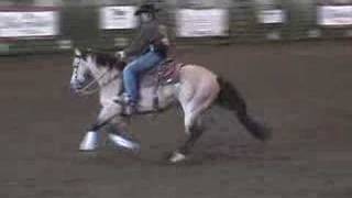 Buckskin Quarter Horse [upl. by Bunce]