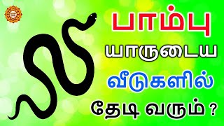 பாம்பு வீட்டிற்குள் வந்தால் என்ன பலன்  pambu veetuku vanthal enna palan  veetil pambu vanthal [upl. by Ynaiffit]