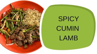 SPICY CUMIN LAMB A QUICK amp EASY WEEKNIGHT DINNER [upl. by Tutto]