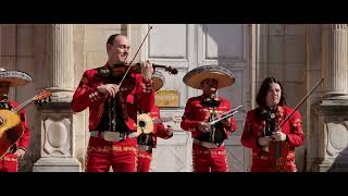 RONDINELLA avec les violonistes de mariachi VIVA MEXICO de Paris [upl. by Ebaj]