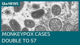 Confirmed Monkeypox cases in the UK more than double to 57  ITV News [upl. by Timmi860]