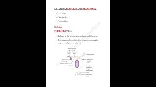 Ovary notes📝 medicalconcepts28 [upl. by Onurb]