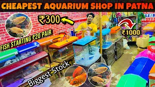 Aquarium Tank Starting Rs300 😱 Aquarium Shop in Patna  Cheapest Fish Aquarium Patna  Aquarium [upl. by Leihcey238]