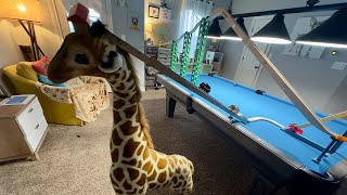 WORLD FIRST We Build A Thomas Track But ON A GIRAFFES HEAD 🦒 [upl. by Ravaj805]