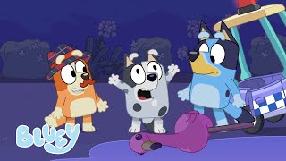 Season 1 Full Episodes  Bluey [upl. by Nylaroc]