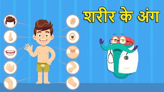 पार्ट्स ऑफ़ था बॉडी  शरीर के अंग  Parts Of The Body In Hindi  DrBinocs Show  Human Body Parts [upl. by Dianemarie996]