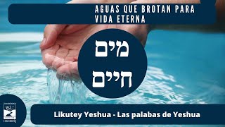 Agua que brota para vida Eterna Los Dichos de Yeshua [upl. by Lleroj]