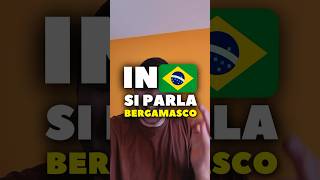 IN BRASILE 🇧🇷 SI PARLA BERGAMASCO 🇮🇹 italy italiano brasile brazil [upl. by Erelia]