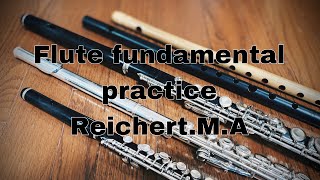 Flute warm ups ReichertMA Seven Daily Exercises 1 フルート基礎練 ライヒェルト7つの日課練習曲 1 [upl. by Aciraj]