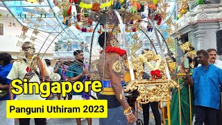 Panguni Uthiram Singapore 2023  Yishun Murugan Temple  Holy Tree Sri Balasubramaniar Temple [upl. by Ehrman]