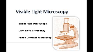 Light Microscopy [upl. by Alrac]