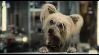 Cats amp Dogs 2 Кошки против Собак Месть Китти Галор  Trailer 2010 [upl. by Ahsenet]