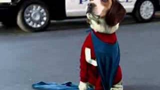 THE UNDERDOGGS Trailer 2024 Snoop Dogg [upl. by Wind]