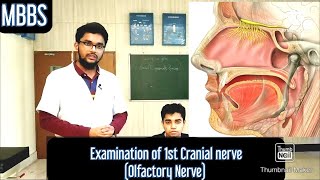 Examination of 1st Cranial Nerve Olfactory Nerve MUHS mbbs neetpg practical [upl. by Ama]