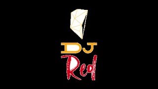 MADONNA  papa dont preach REMIX Dj RED [upl. by Vanhook149]