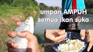 CARA MERACIK UMPAN UNTUK MANCING DI SUNGAI AMPUH UNTUK SEMUA JENIS IKAN [upl. by Beaston124]