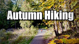 Autumn Hiking Vancouver Island [upl. by Radack868]