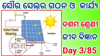 solar cell class10 life science class10 internal assessment 3 life science principle of solar cell [upl. by Tirrag]