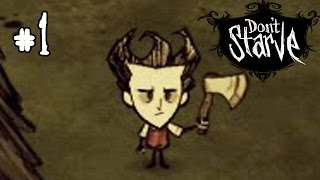 Dont Starve Прохождение 1  Начало выживания [upl. by Ameyn]